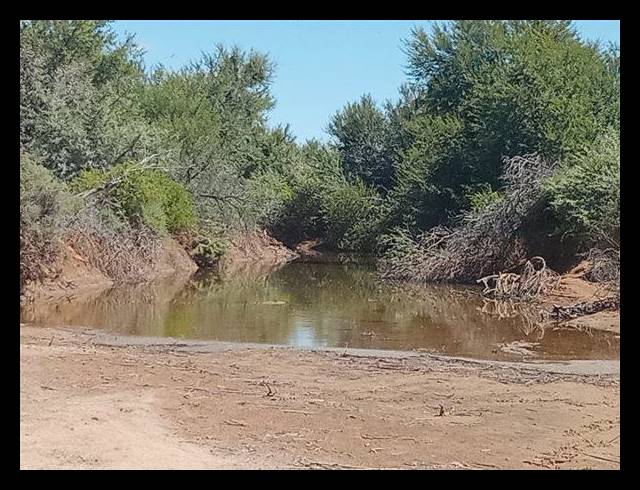 FARM FOR SALE IN KENHARDT